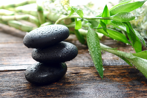 Mind, Body, Spirit Approaches are Essential for Mental Health Treatment